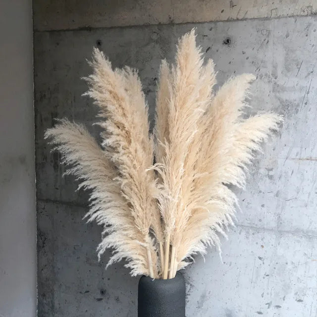 ChicBohème | Gedroogd pampasgras voor een chique interieur